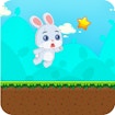 Bunny Adventure